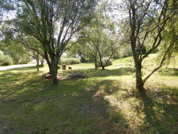Not Specified