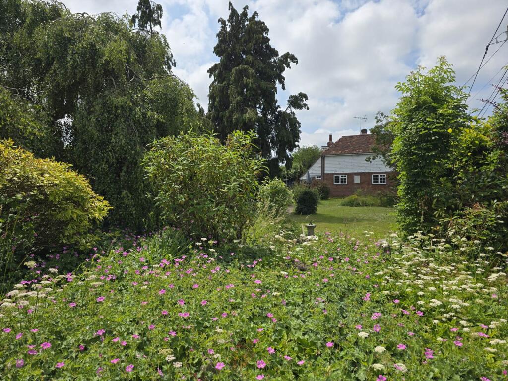 Canterbury Road, Molash photo 4