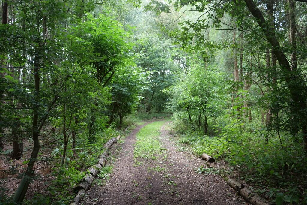 Main image of property: YO61