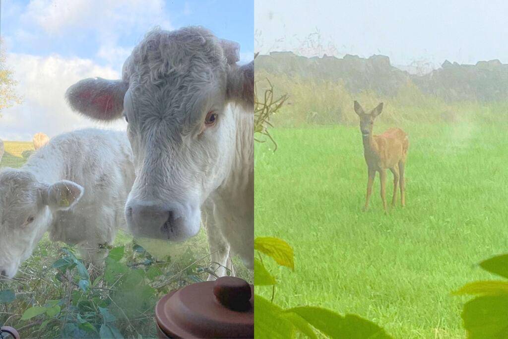 Additional image 10 of Alderscholes Lane, Thornton, Thornton, Bradford