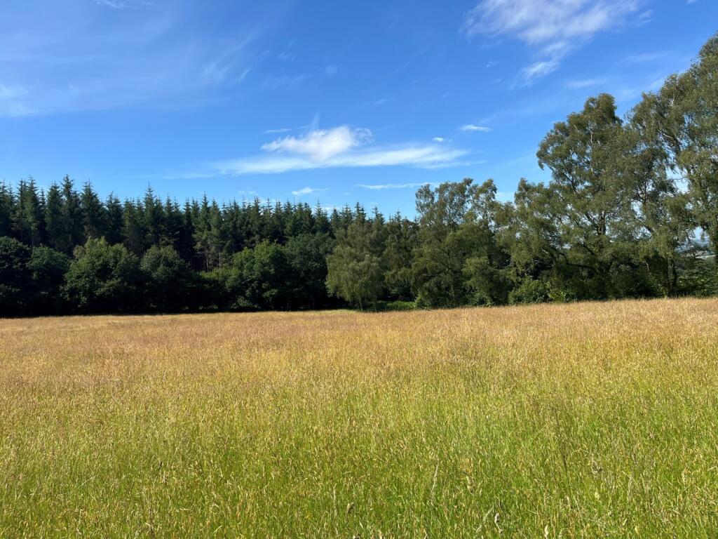 Land for sale in Christow, Exeter, Devon, EX6 – pohled 2