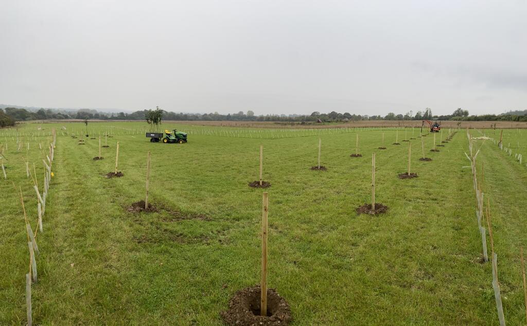 Preparing For Planting