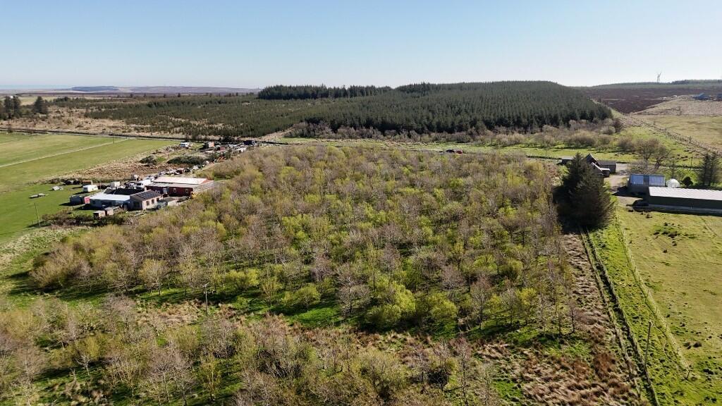 Additional image 4 of Lot 2 Woodland at Broadmuir, Hill of Fisherie, Turriff, AB53 5QL