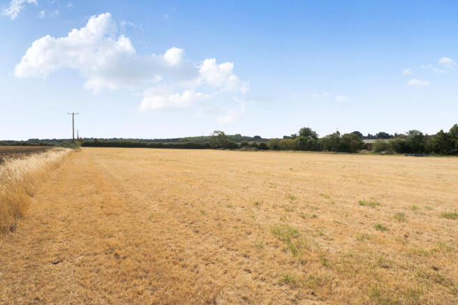 Field