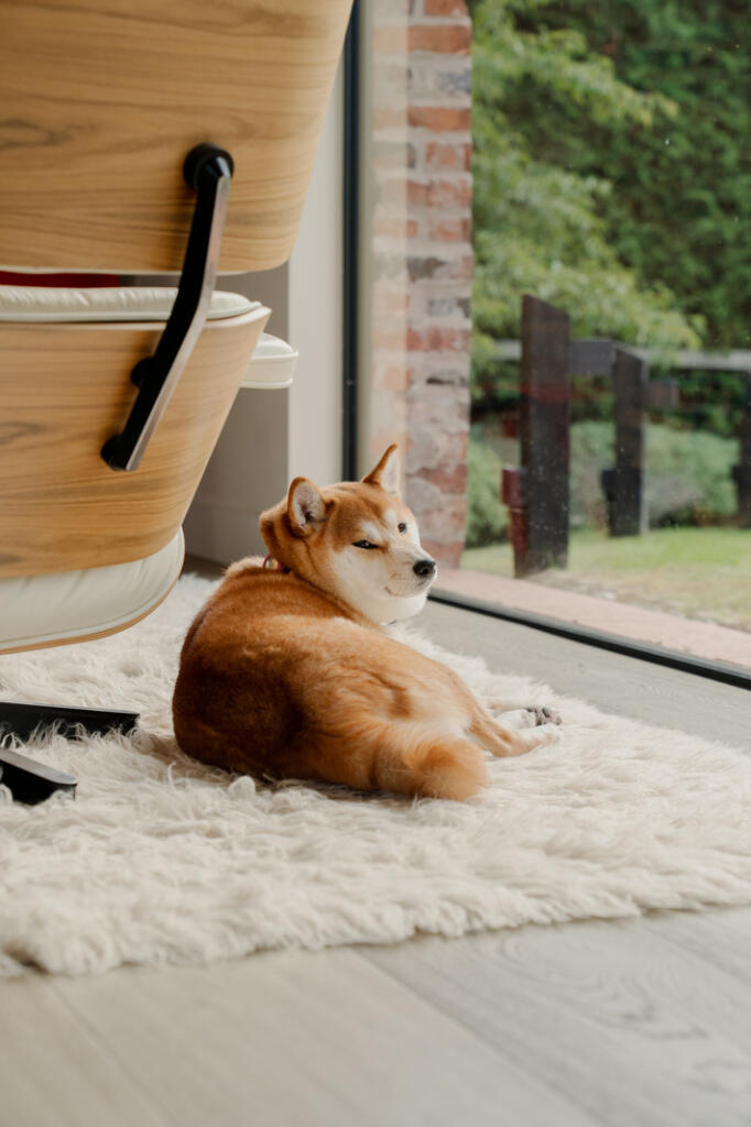 Additional image 11 of Lea End Lane, Hopwood, Worcestershire