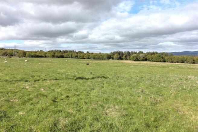 Claggersnich - Lot 1