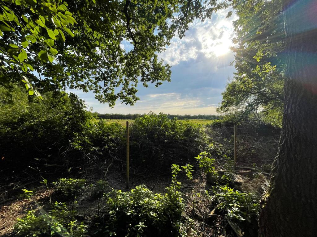 Main image of property: Forest Road, Colgate, Horsham