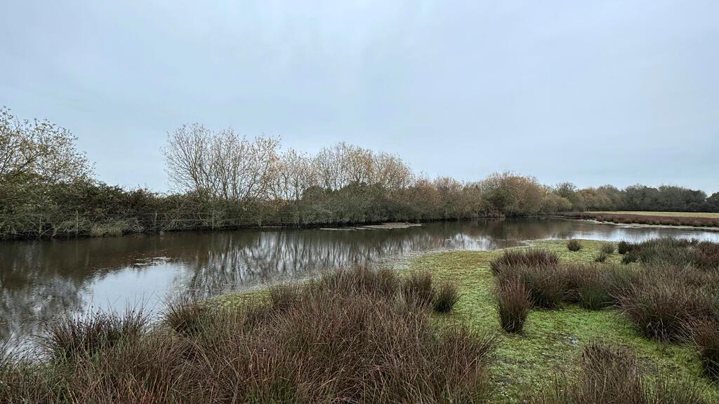 Large natural rainwater pond.