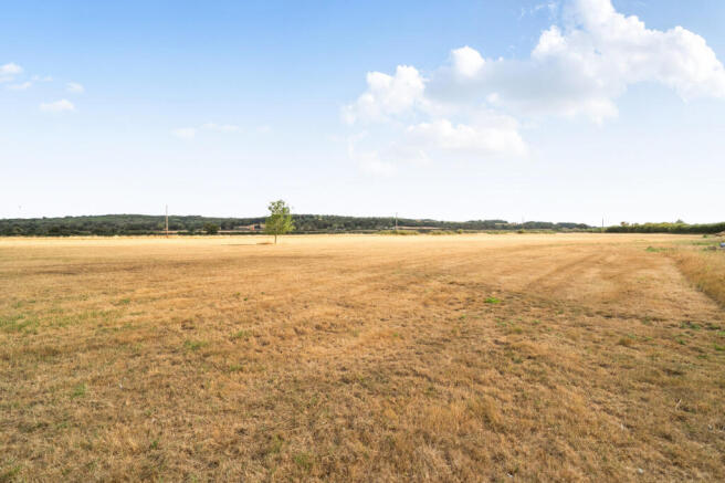 Field