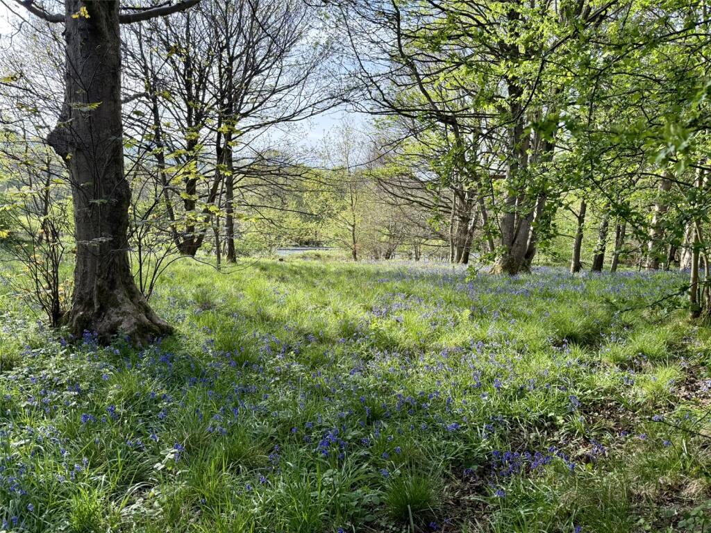Additional image 8 of Land Off Hammond Drive, Read, Burnley, Lancashire