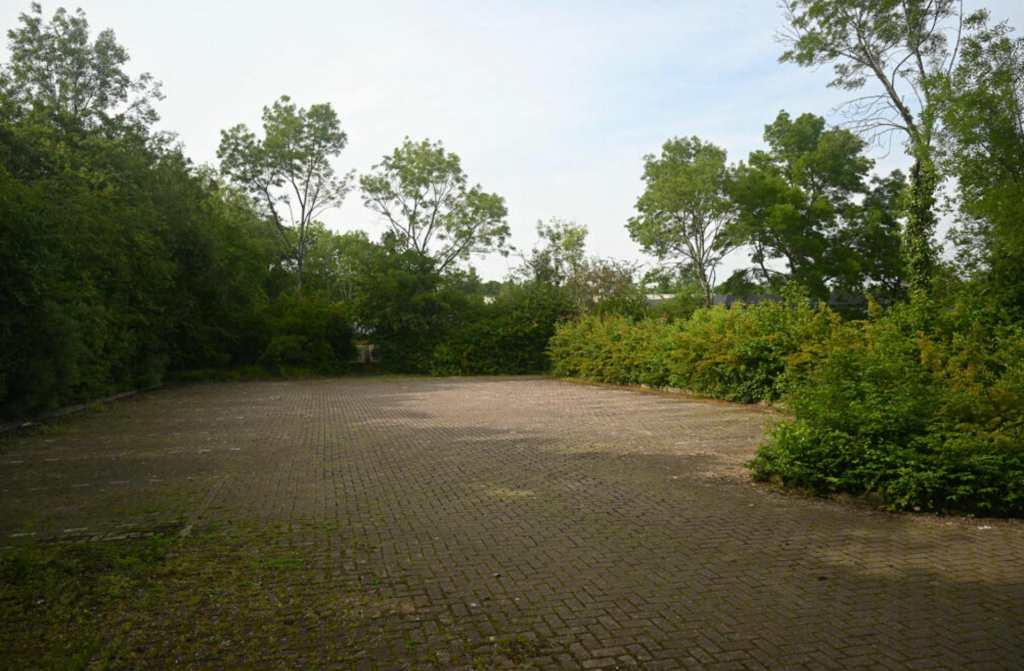 img12.png