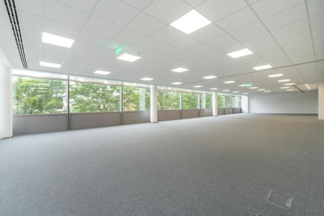 IW280623CORB3206.jpg