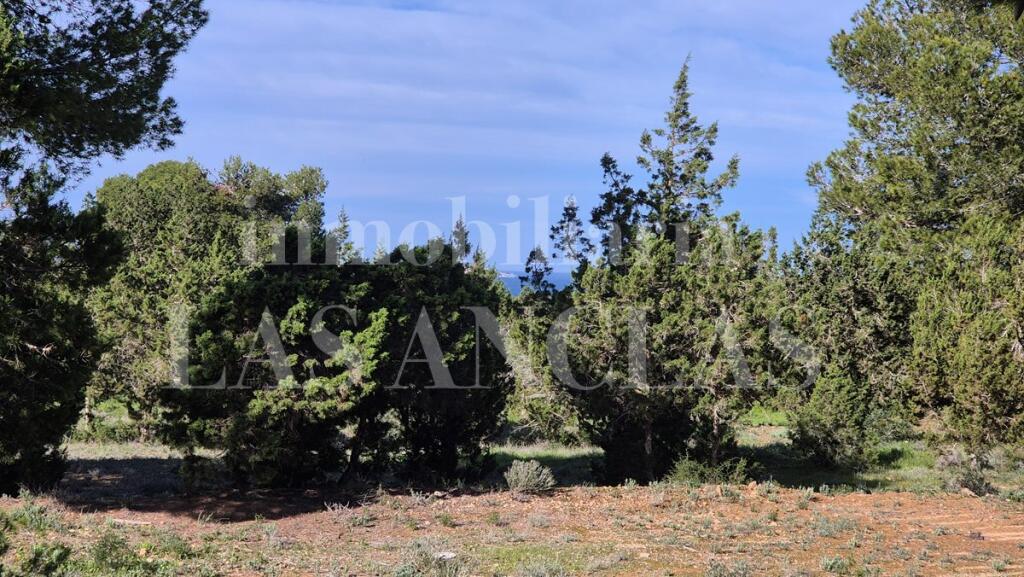 Main image of property: Balearic Islands, Ibiza, Sant Josep De Sa Talaia