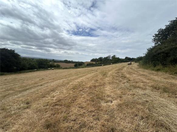 Picture No. 05