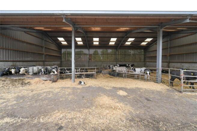 General Purpose Shed