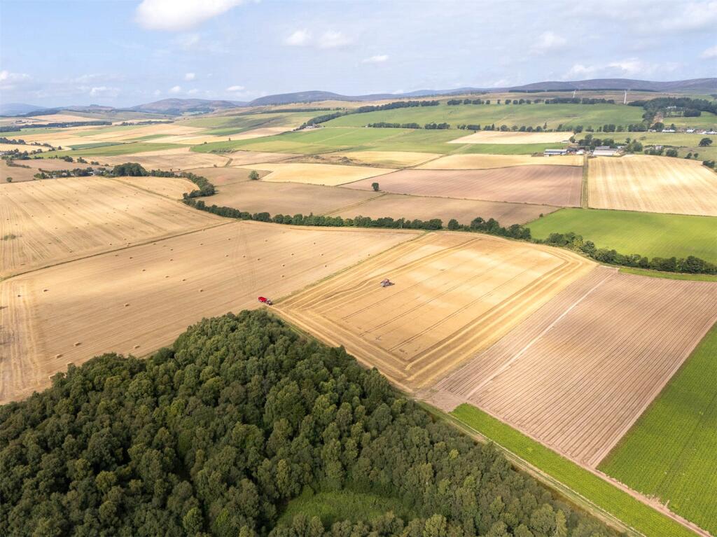 Land At The Coe, Menmuir, Brechin, Angus, DD9 - View 5