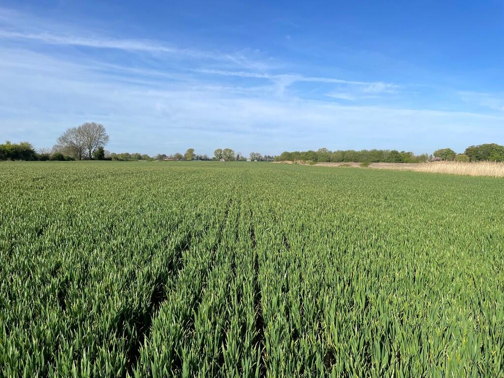 Main image of property: Arable Land For Sale by Informal Tender