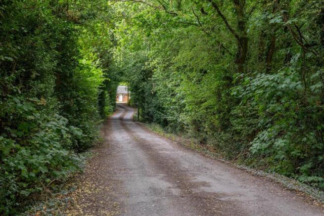 Entrance Road