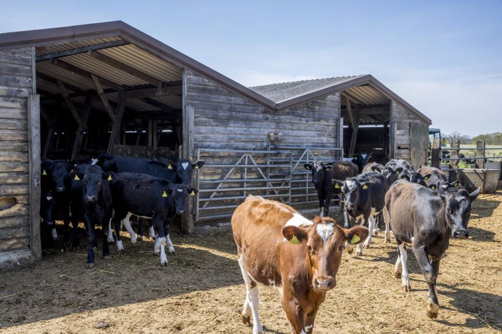 Highlands Farm