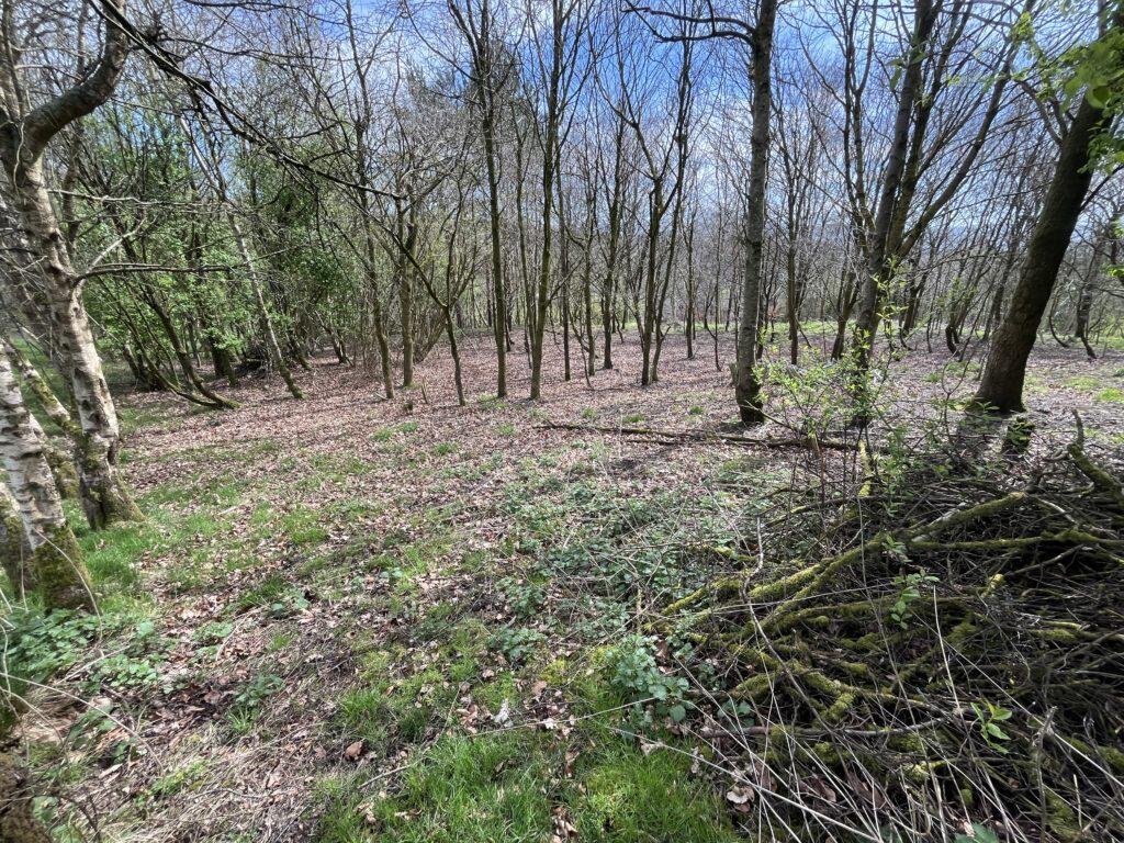Additional image 7 of Land for Sale – 1.764 Hectares (4.36 Acres), Cuckstool Lane, Burnley, BB12 9NZ