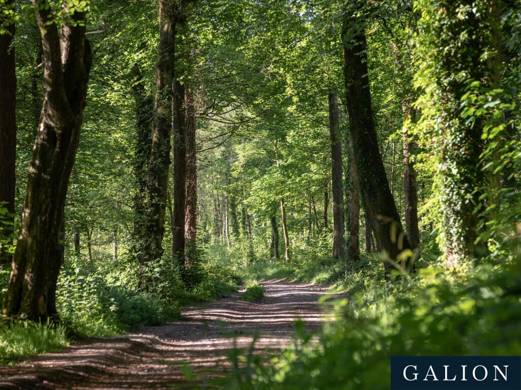 Additional image 12 of Bishop's Drive, Glastonbury, BA6