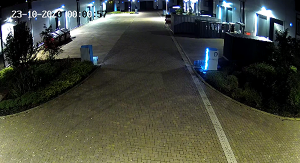 Evening Illumination