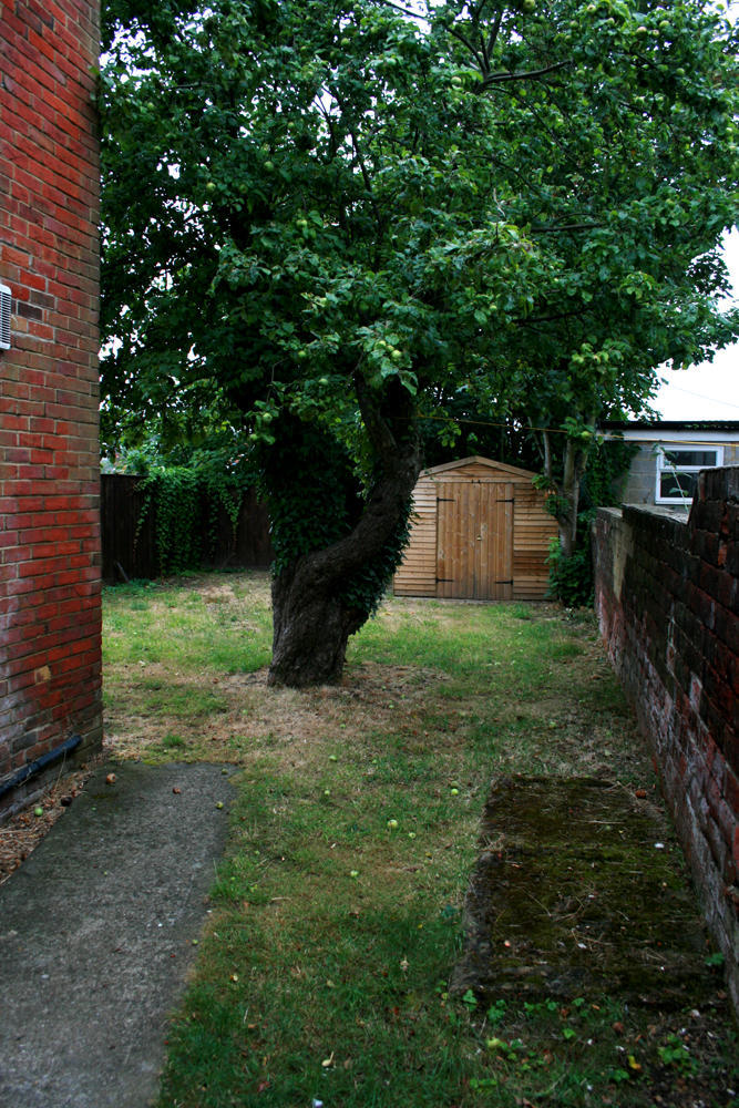 Photo of the property