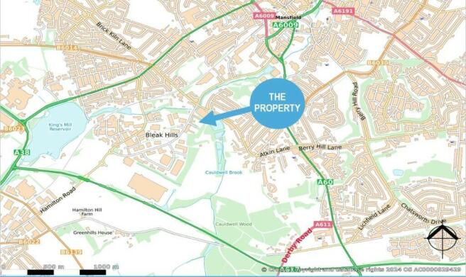 Street Map