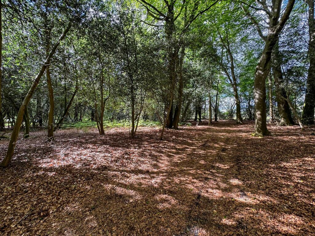 Milford Road, Elstead, Godalming, Surrey, GU8 - View 4