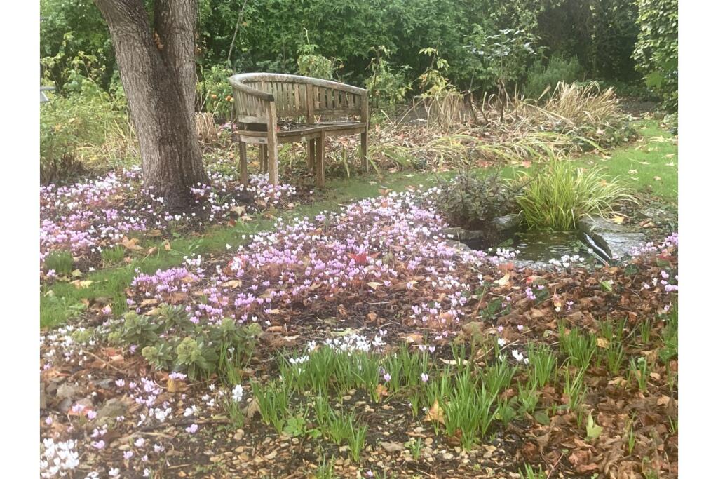 Additional image 28 of West Park, Butleigh, BA6