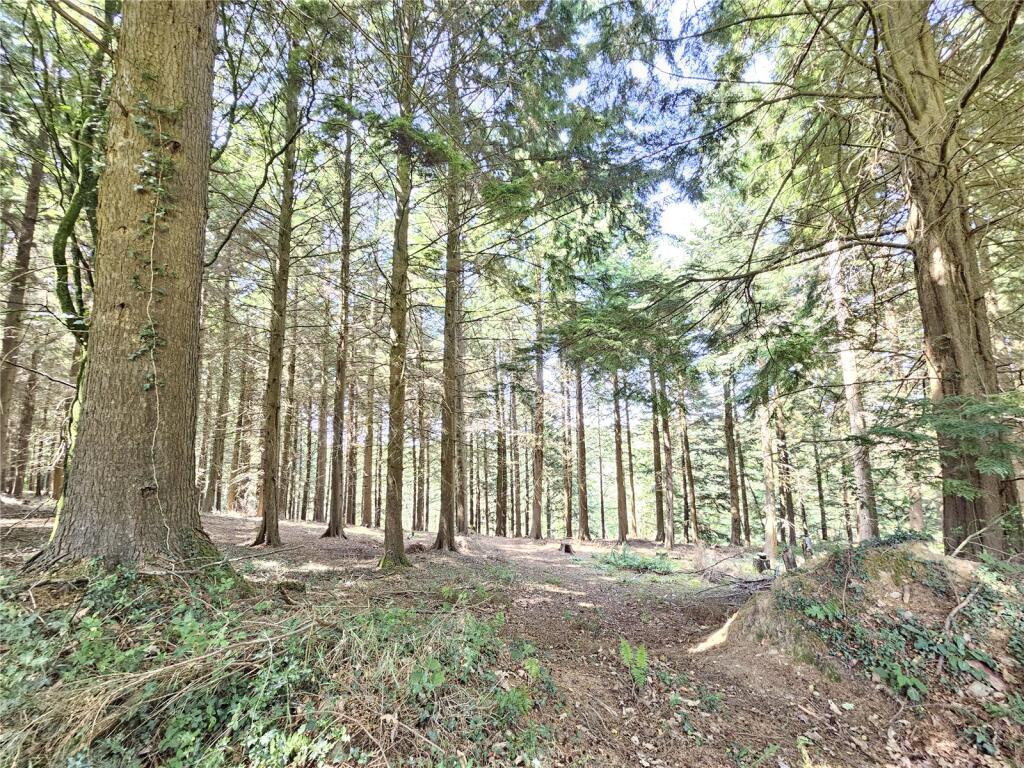 Main image of property: Caddywell Lane, Torrington, Devon