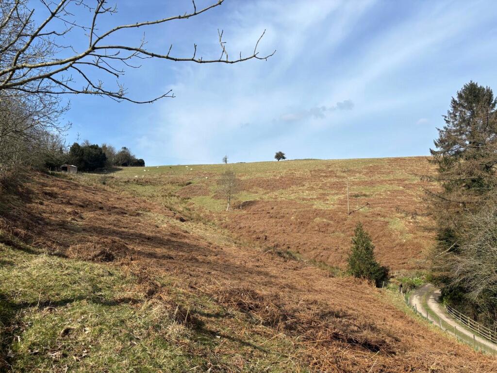 All Stretton, Church Stretton, Shropshire photo 3