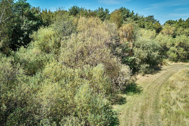 DJI 20260812134328 0221 D T202608141134.jpg