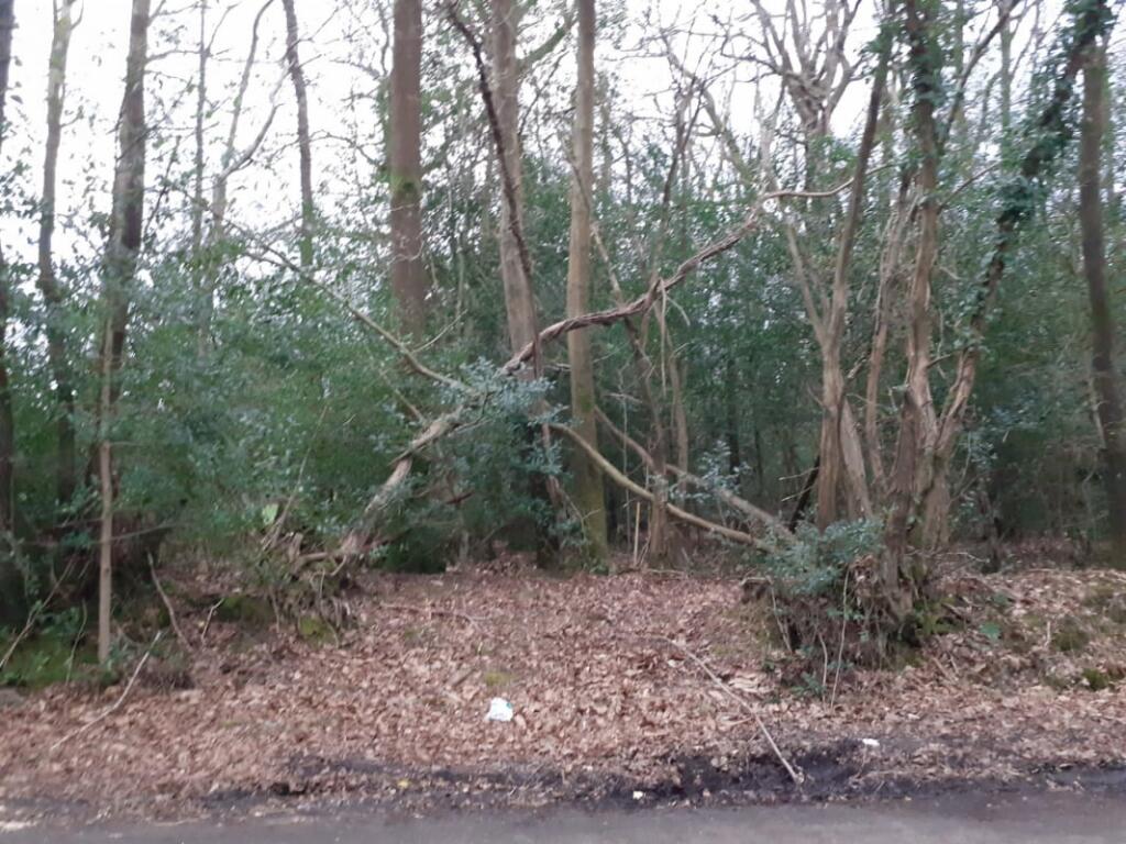 Main image of property: Land In Surrey, Fisher Lane, Chiddingfold, GU8