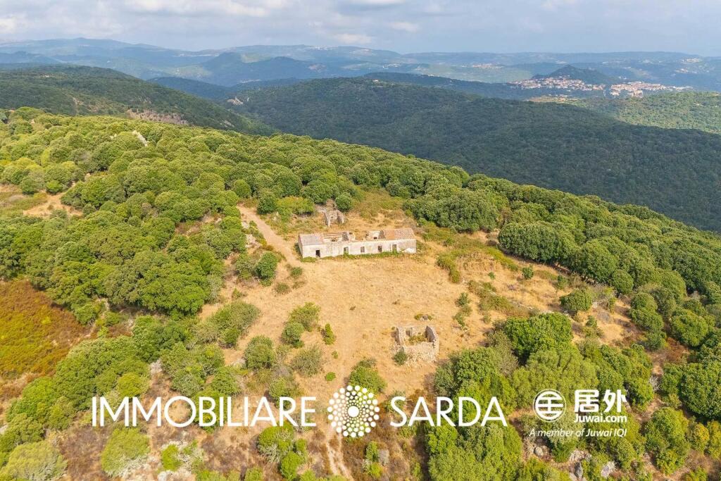 Main image of property: Sardinia, Sassari, Luogosanto