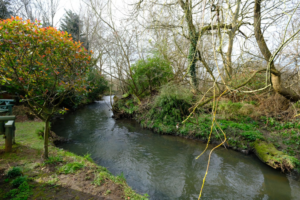 Photo of the property