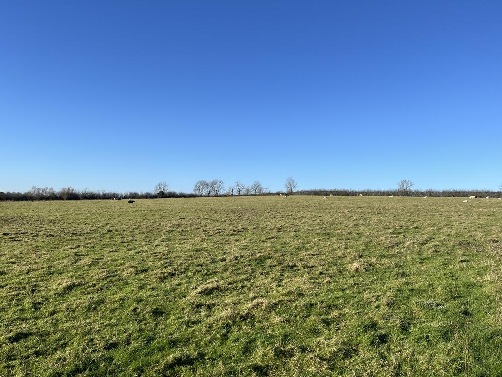 Main image of property: Pastureland & Building Off Singleborough Road, Thornborough, Buckingham, MK17 0HL
