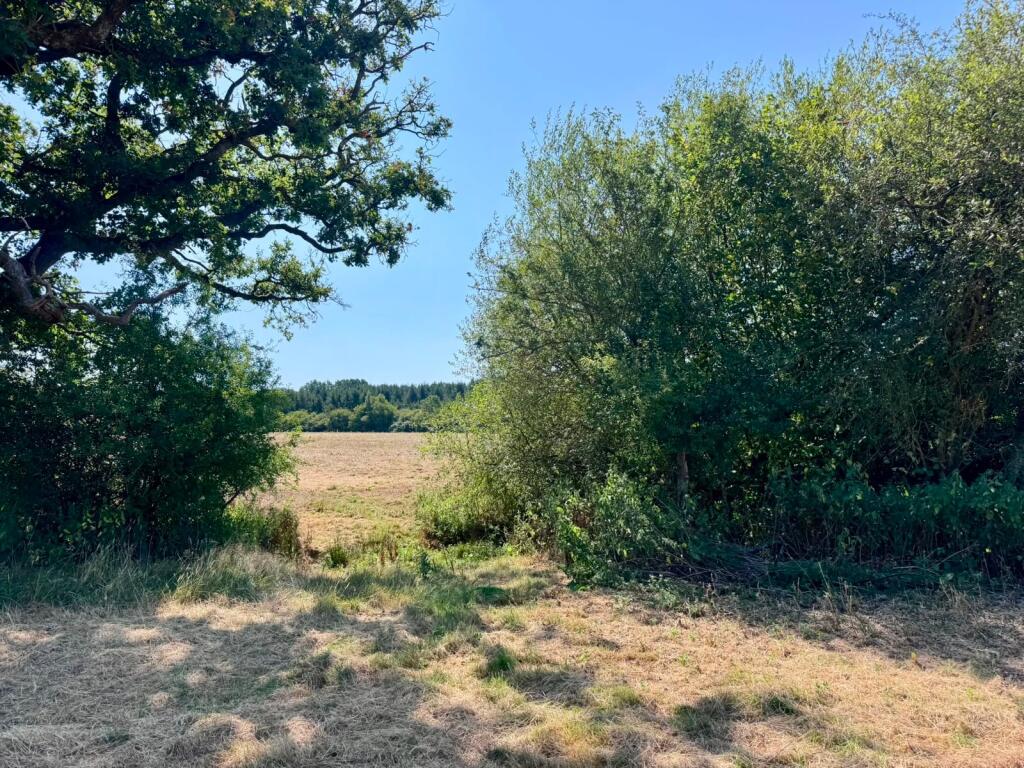 Land To The South Of Picts Lane, Cowfold, Horsham, West Sussex - View 5
