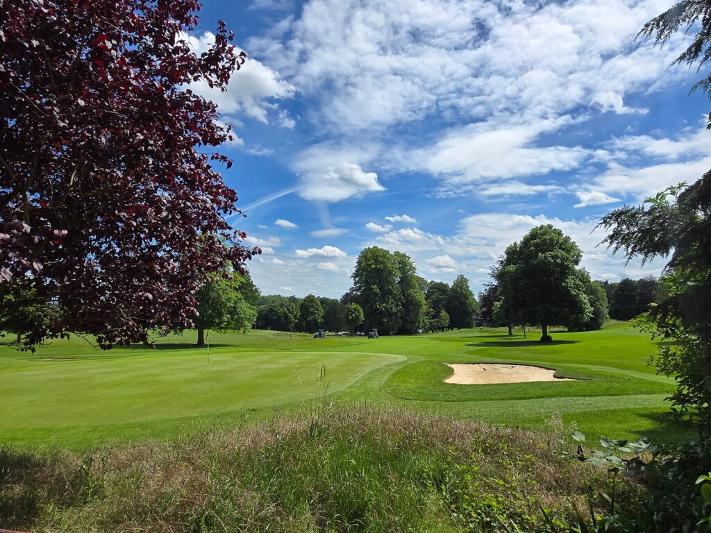Hamels Mansion, Hamels Park, Westmill, Nr. Buntingford - View 5