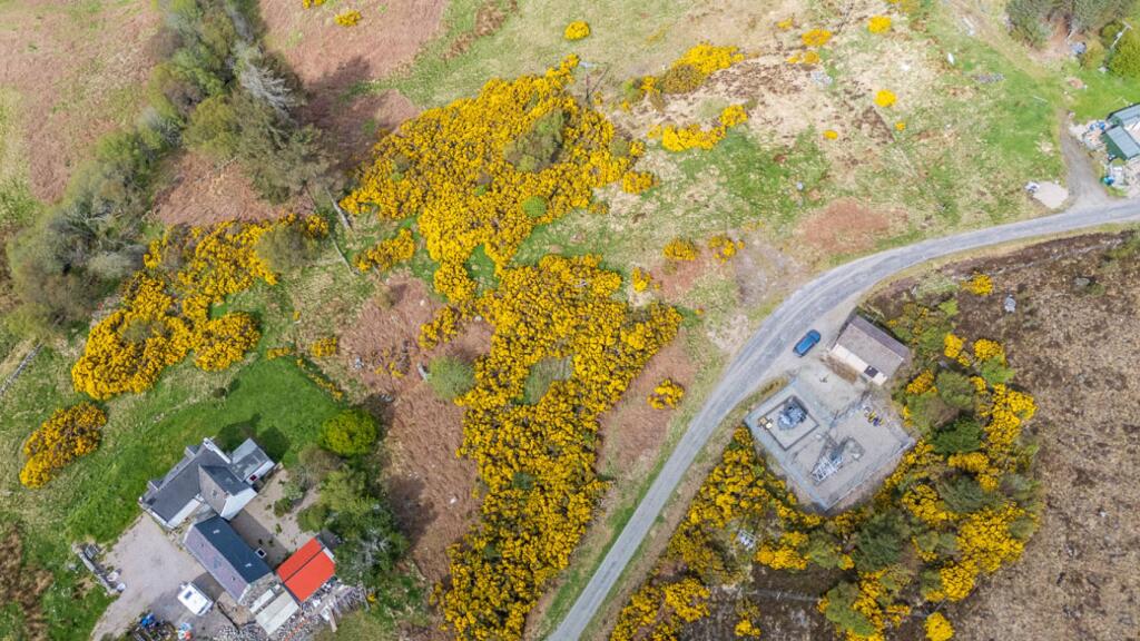 Plot of Land, Strathtongue, Tongue, Lairg, IV27 4XR - View 3