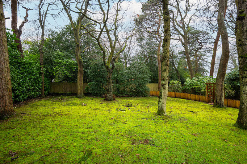 Additional image 28 of Streetly Wood, Sutton Coldfield, B74 3DQ