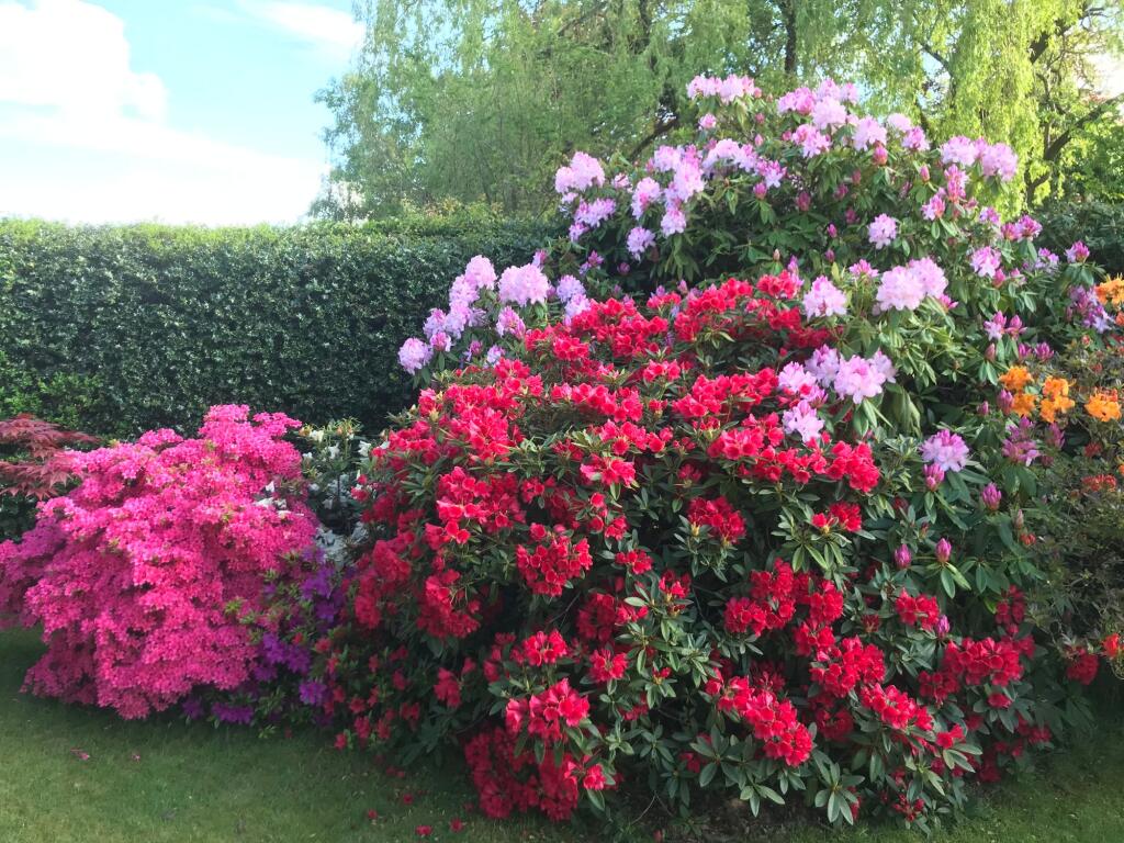 Additional image 30 of Four Ashes Road, Bentley Heath, B93