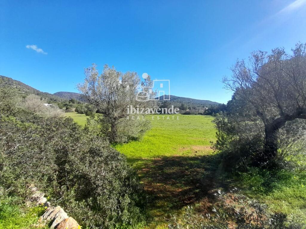 Main image of property: Balearic Islands, Ibiza, Sant Josep De Sa Talaia