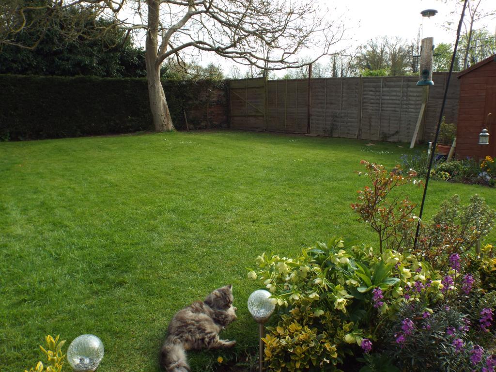 Photo of the property