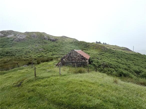 Picture No. 15