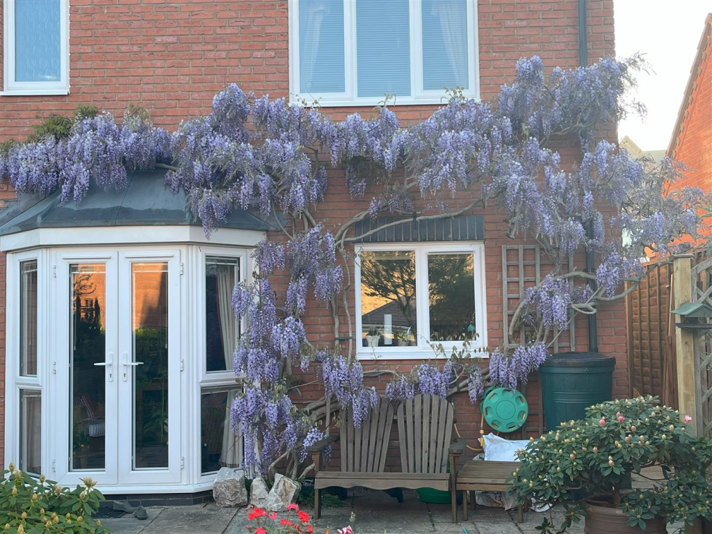 Beamont Close, Lutterworth photo 3