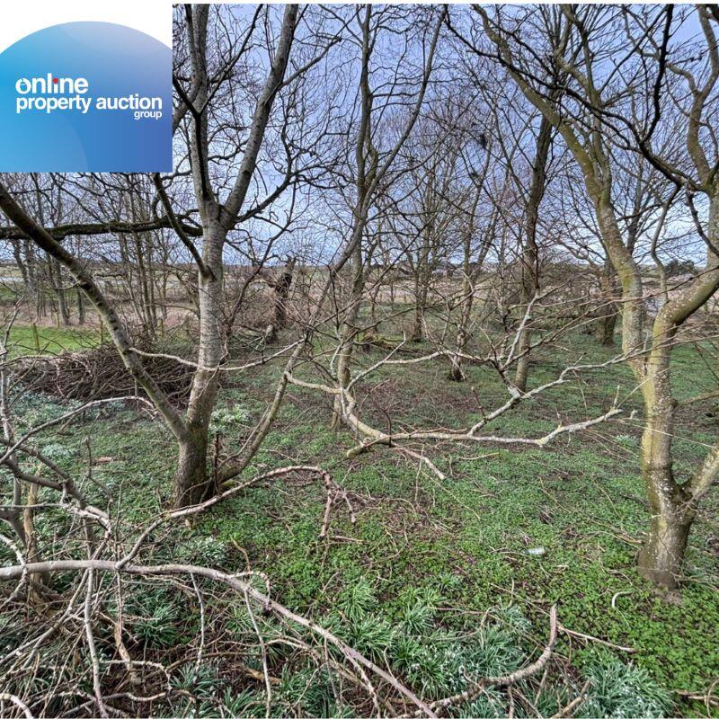 Tyrie Church Woodland, Fraserburgh, AB43 7DL - More