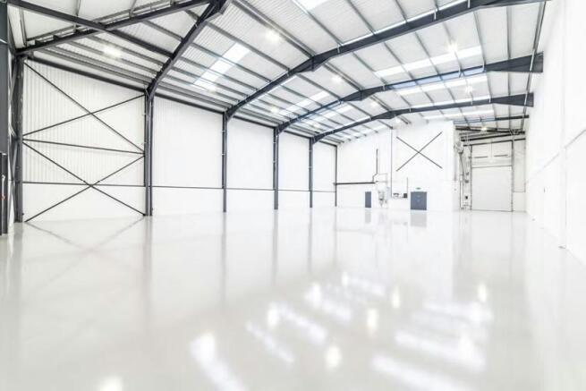 Unit 4 Image2.jpg