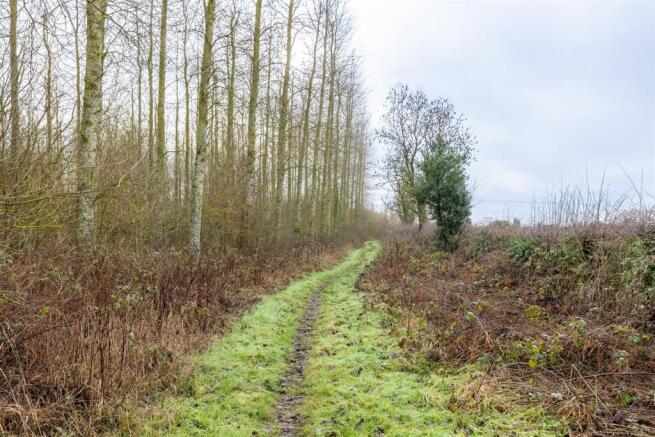 Woodland to the South of Main St Swepstone