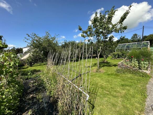 Vegetable Garden